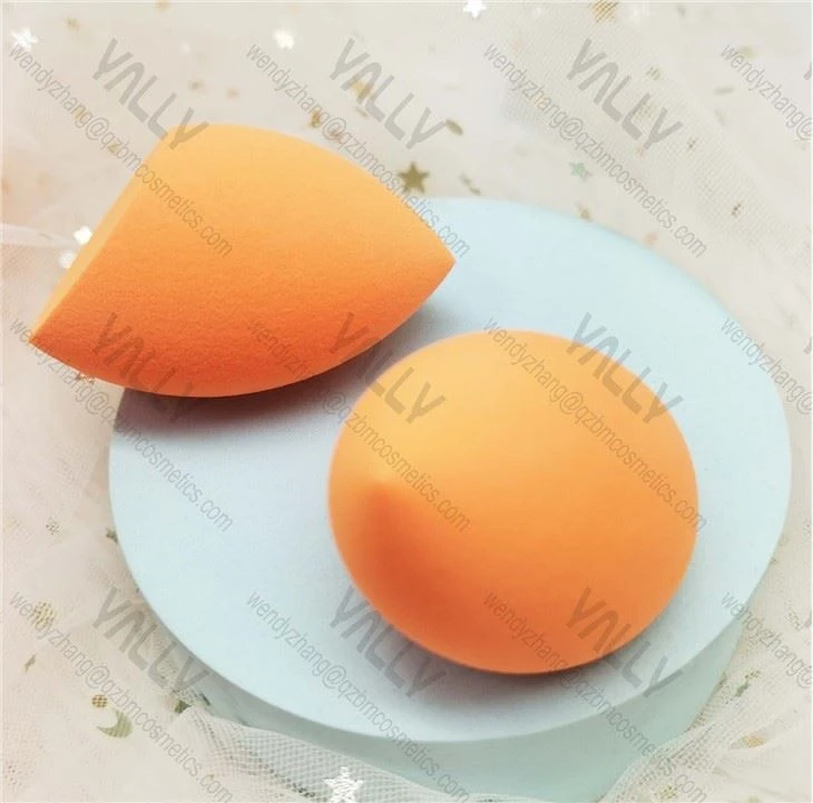 BEAUTY SPONGE4